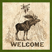 Moose-Lodge Decor