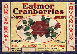 cranberries-wall-plaque